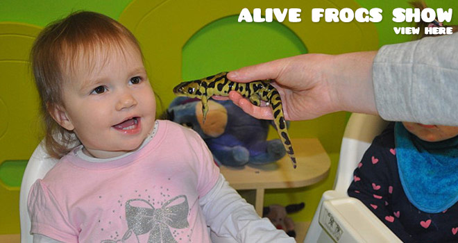 Alive frogs show